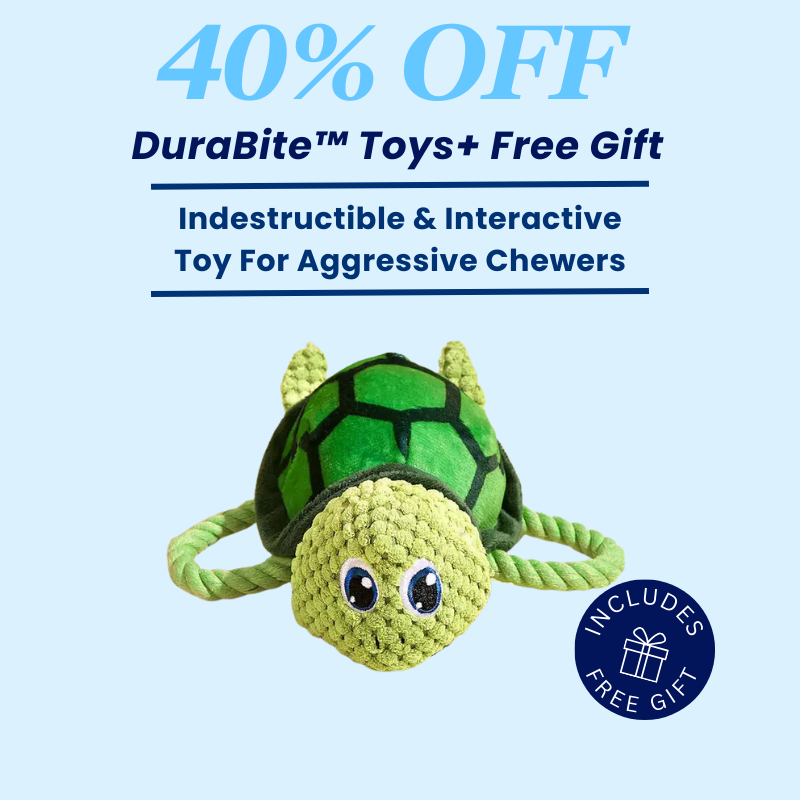 DuraBite™ Indestructible & Interactive Sea Turtle