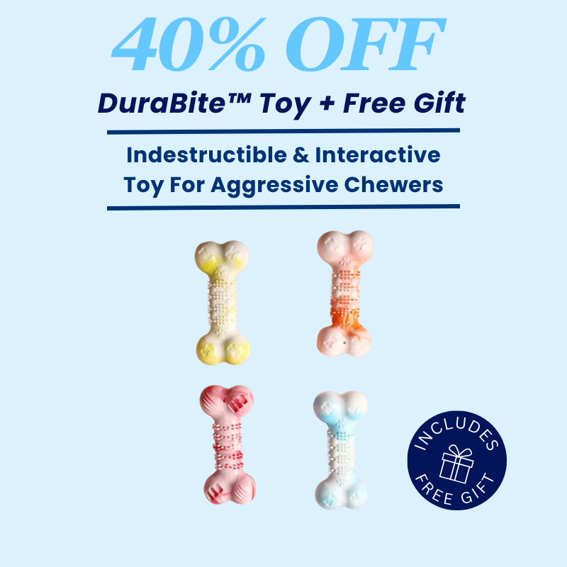 DuraBite™ Indestructible & Interactive Squeaky Bones Toy