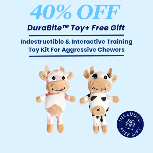 DuraBite For Aggressive Chewers Spotted Cow Toy