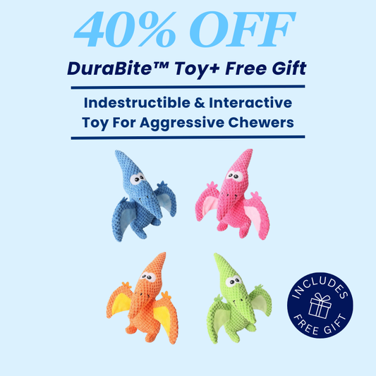 DuraBite™ Indestructible & Interactive Squeaky Plush Dinosaur