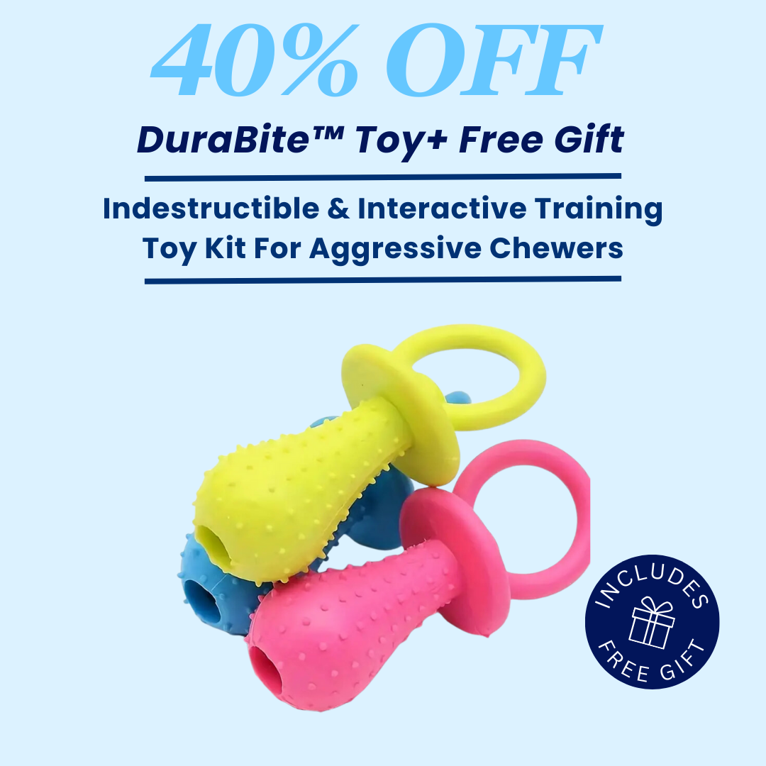 DuraBite For Aggressive Chewers Dog Pacifier