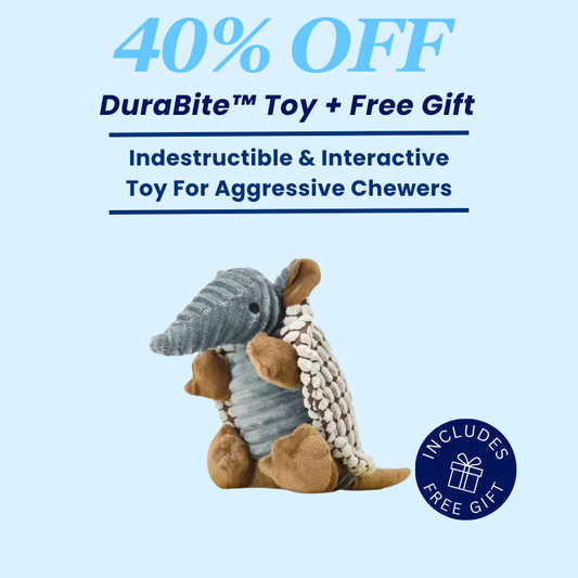 DuraBite™ Indestructible & Interactive Armadillo Squeaky Plush Toy