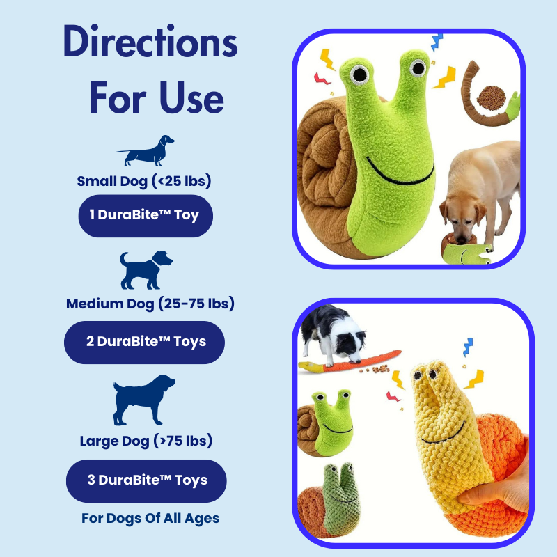 DuraBite™ Indestructible & Interactive Silly Snail Toy