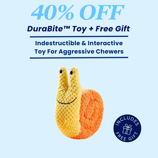 DuraBite™ Indestructible & Interactive Silly Snail Toy