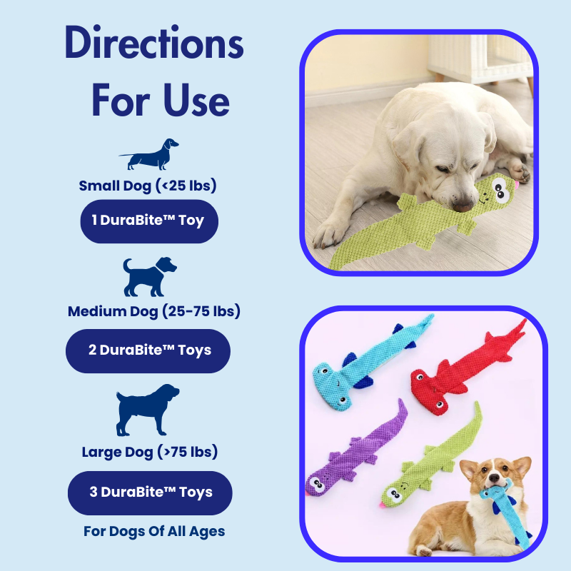 DuraBite™ Indestructible & Interactive Teething Flat Toy