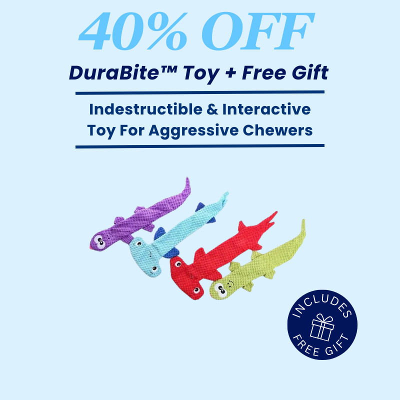 DuraBite™ Indestructible & Interactive Teething Flat Toy