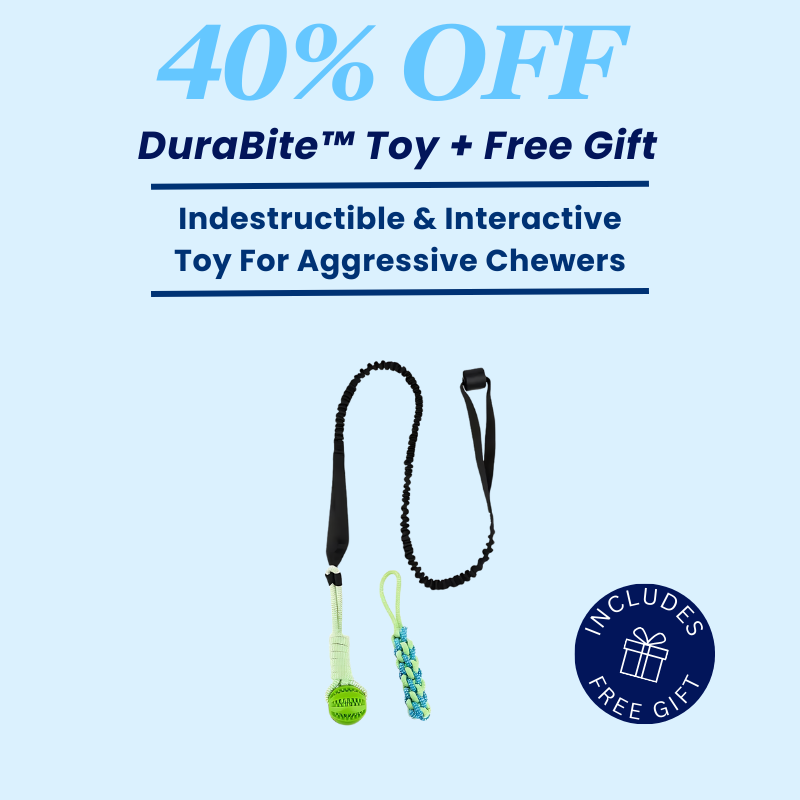 DuraBite™ Indestructible & Interactive 2 Piece Tree Tug Toy