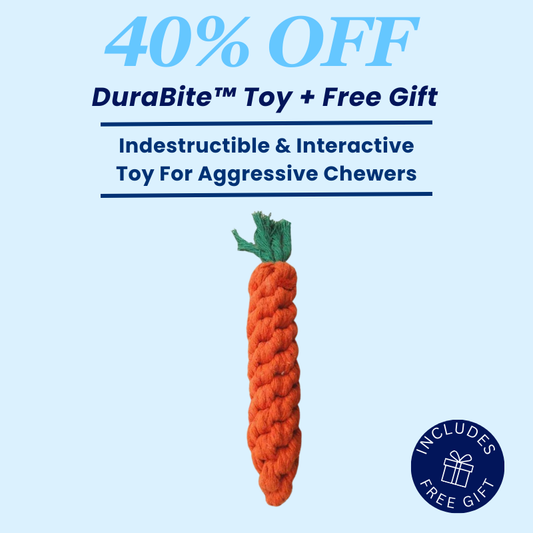 DuraBite™ Indestructible & Interactive Carrot-Shaped Toy